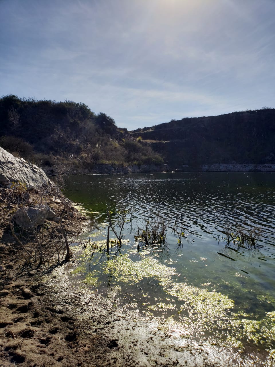 3bf9cd34-5852-4255-be6d-a40902a58a48