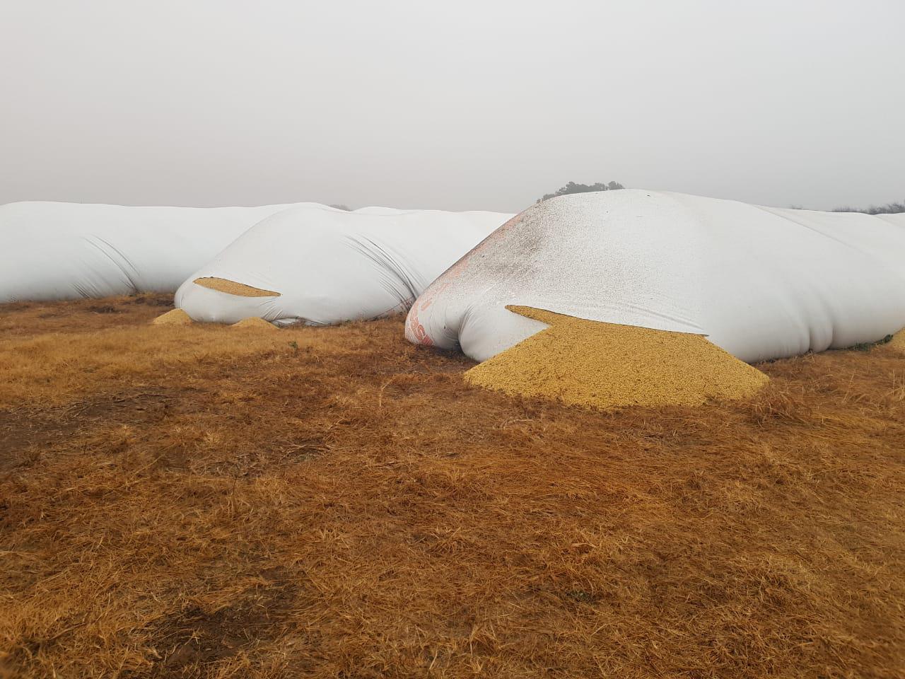 9940dd22-38c4-433a-ae21-d6caed1a738a