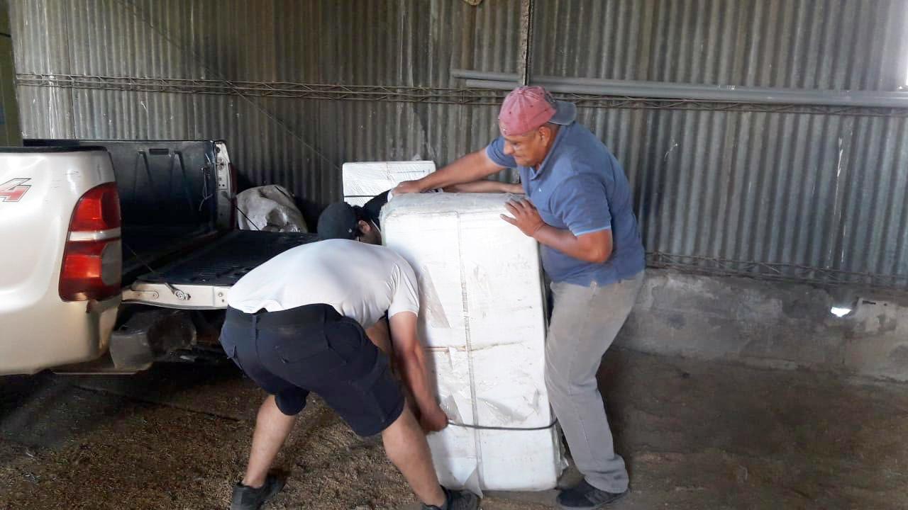 fefe1884-37b1-479d-906e-205fa374c503