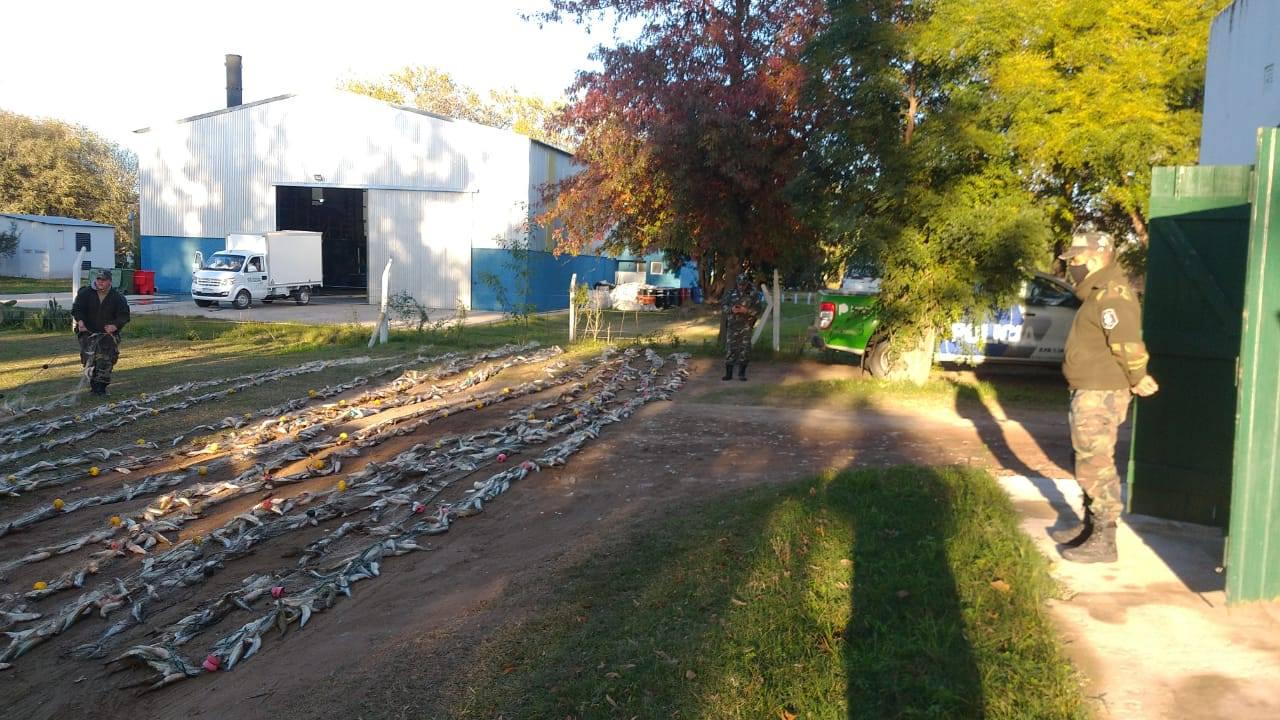 97679794_660185264838044_384429358590197760_o