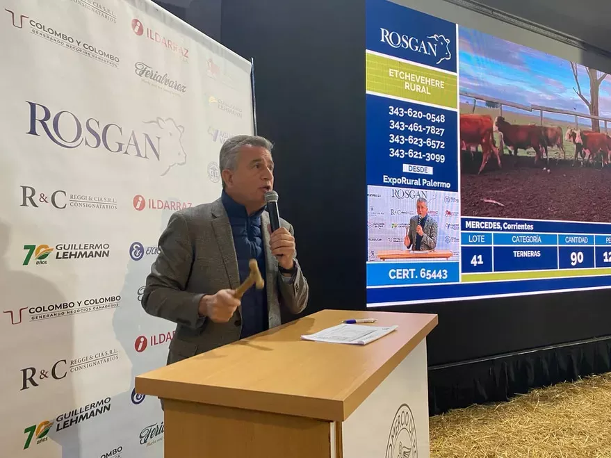 etchevehere rematando 2