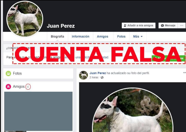 troll (Juan Perez)