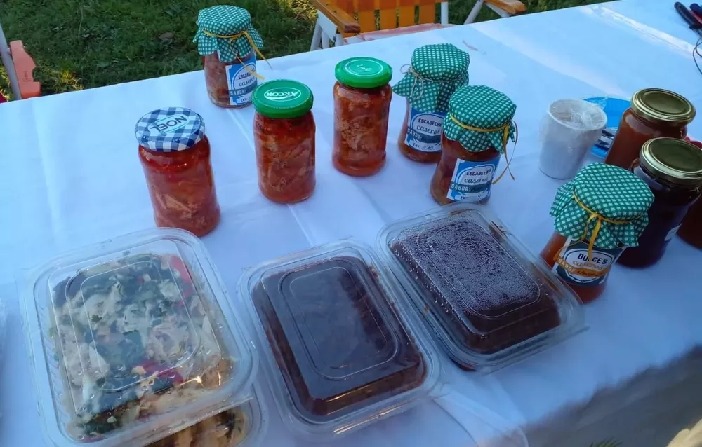 258757982_452039883020670_1284422371676351524_n