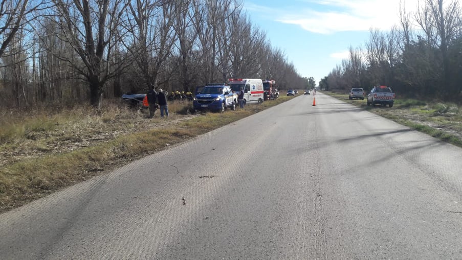 64753813_424558028399734_6169065705695084544_n