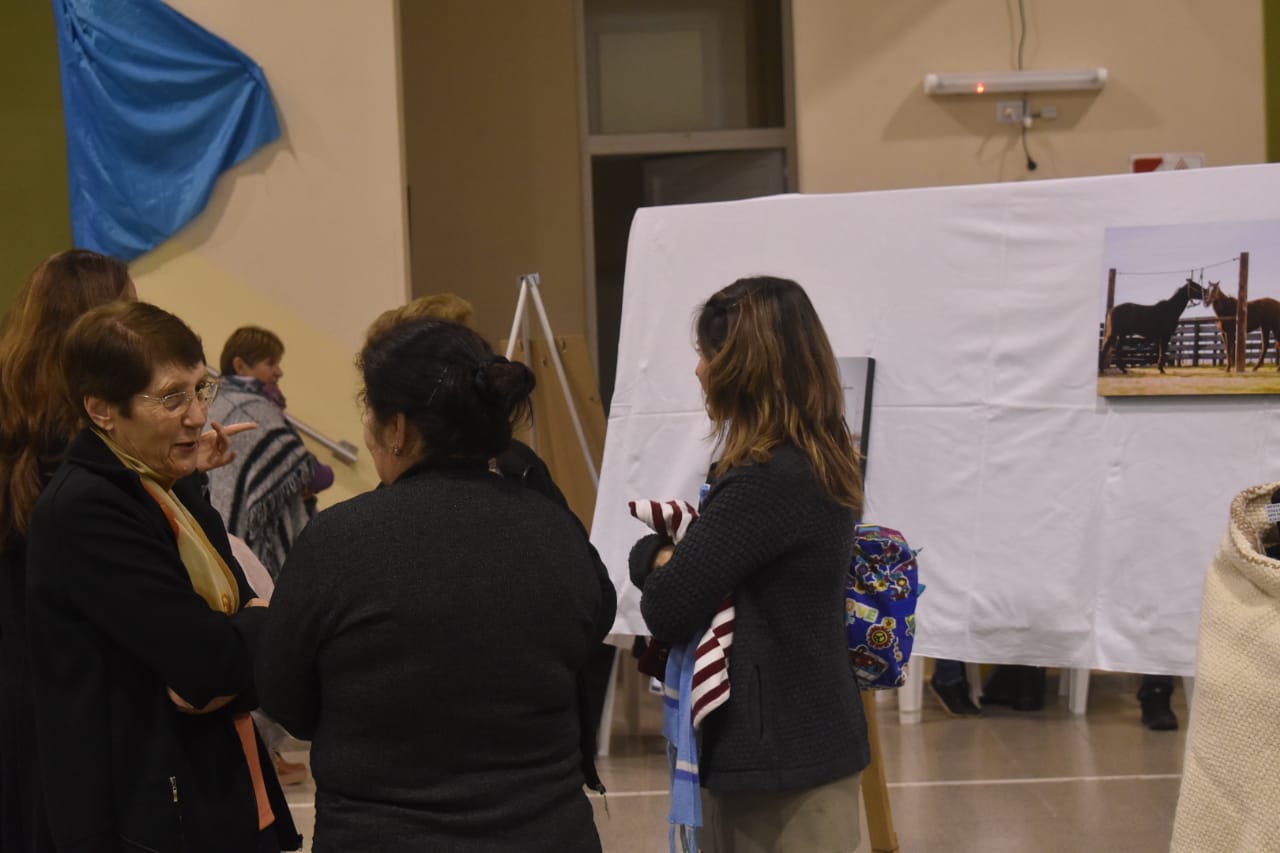 f0195103-ce31-4fb1-80e0-13de84c8c777