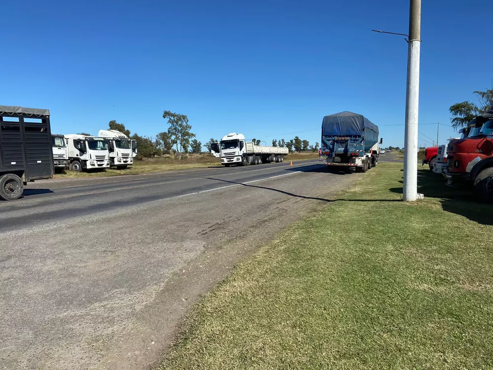 WhatsApp Image 2022-04-13 at 11.26.10 AM