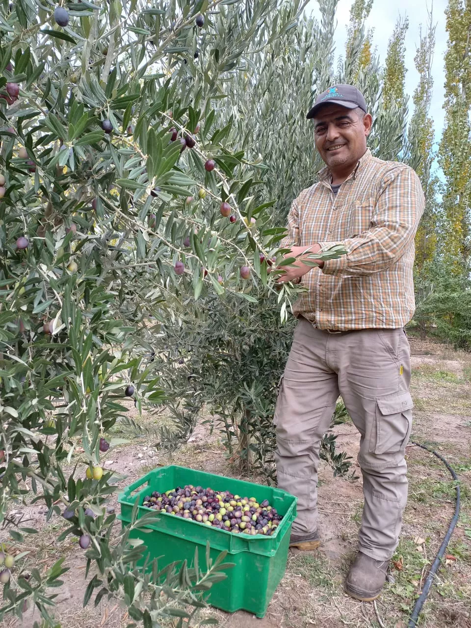 347315_img-20220422-wa0071