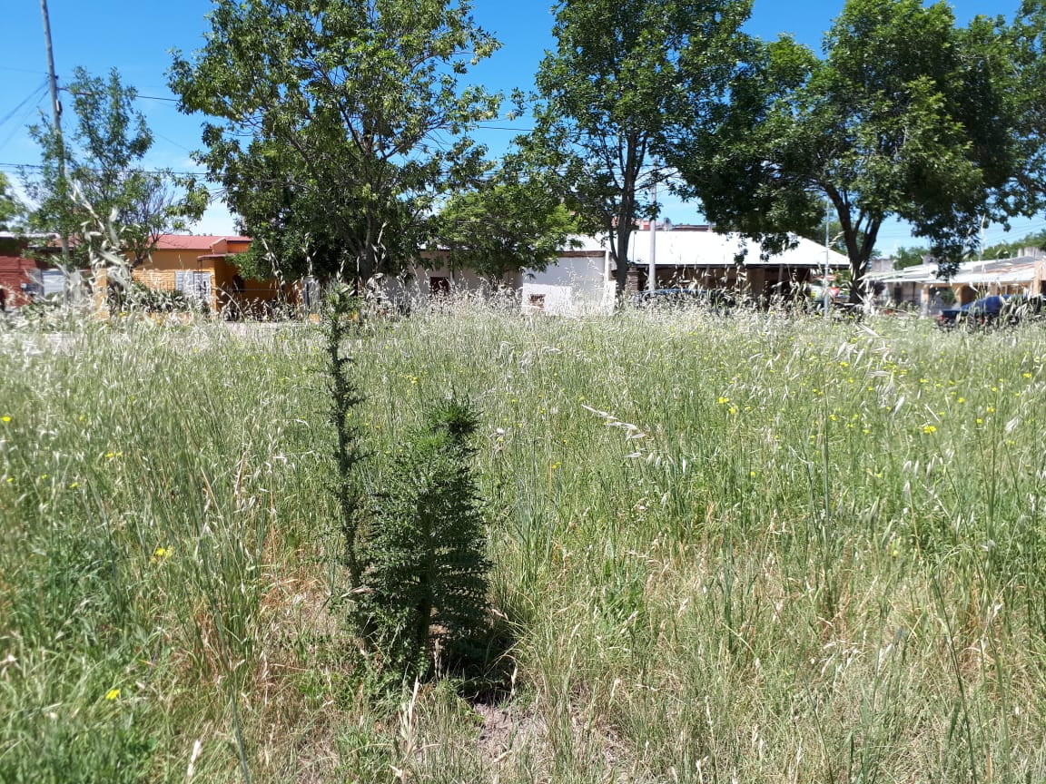 0433b0bc-9e94-43e8-aba5-4978bff3742f