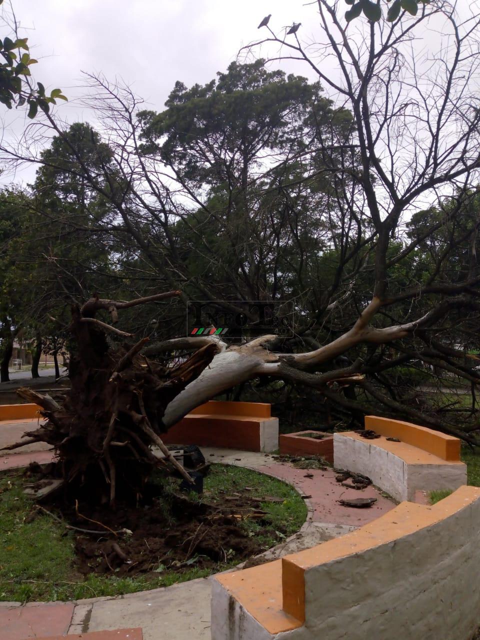 470130af-6d0d-4803-a7e1-4c41d24b7eab