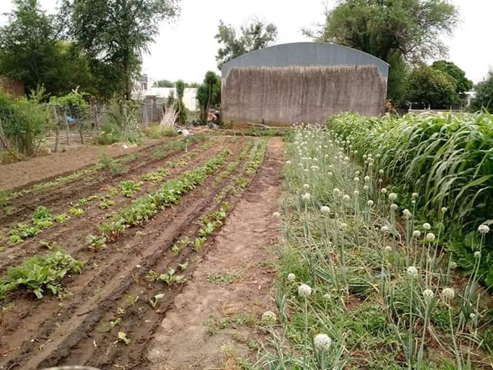 FB_IMG_1576063663142