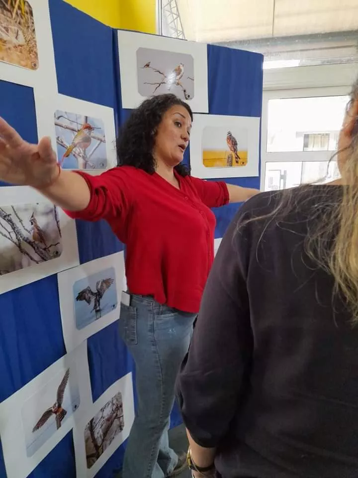 AVES DE LA PAMPA PARERA 18