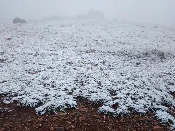 331137697_1255803835026468_6473001762115269155_n