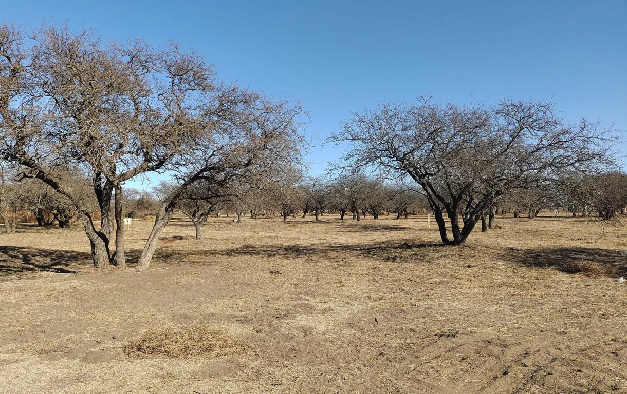 parque folra caldenia 5 (FILEminimizer)