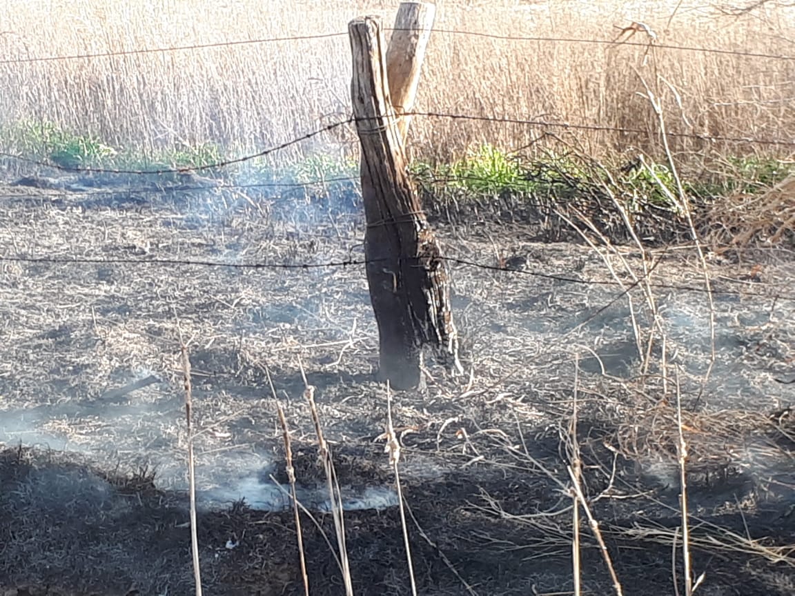 38f31dc4-9c68-426c-a373-c187b2e7adc1