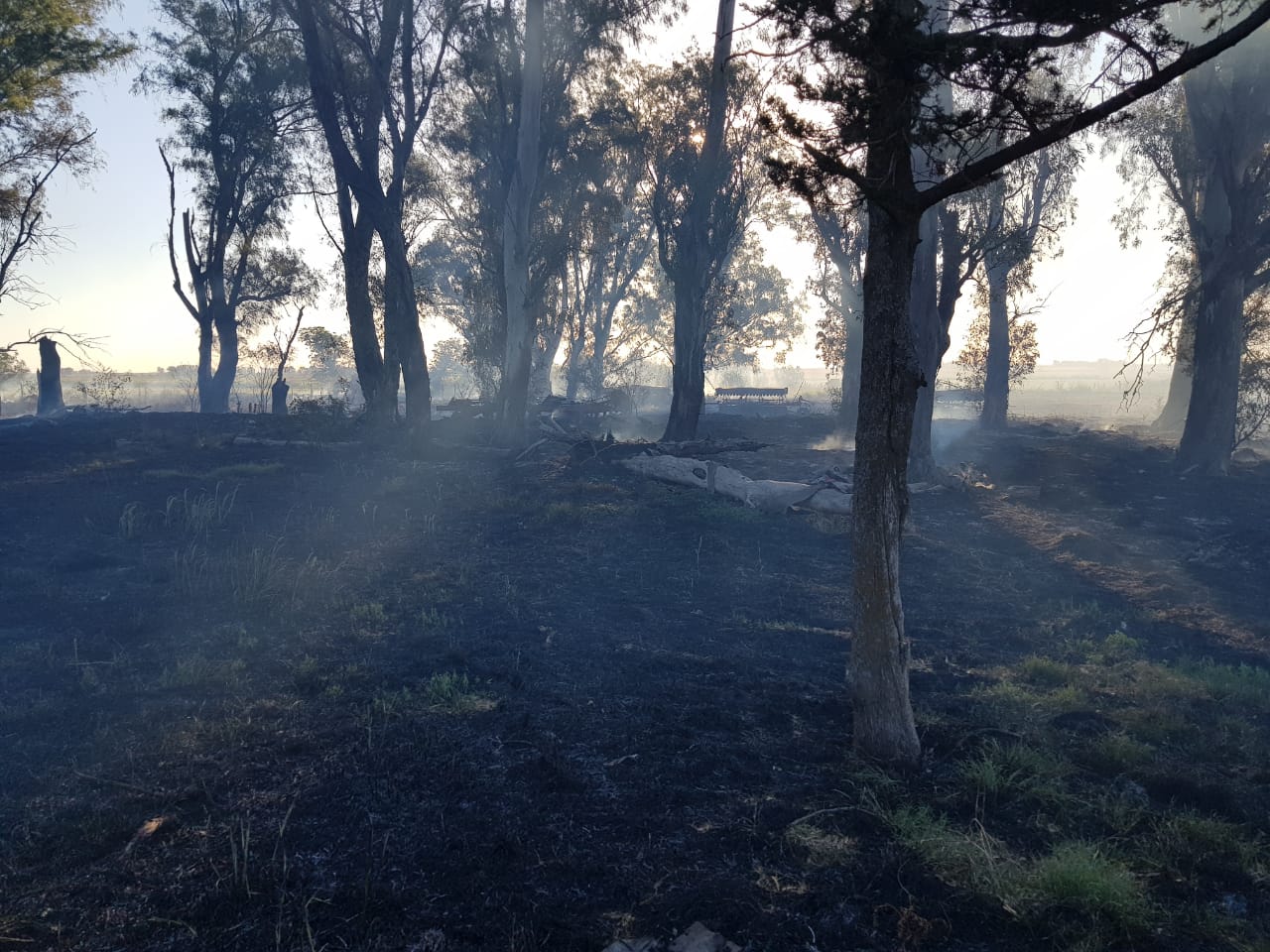 225fe339-b279-4356-9bad-85f9ed89ef61