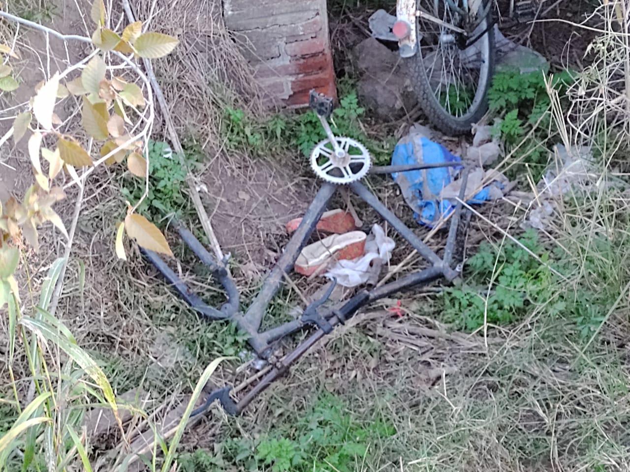 9d481396-7ae5-47ac-8176-61e391c357f8