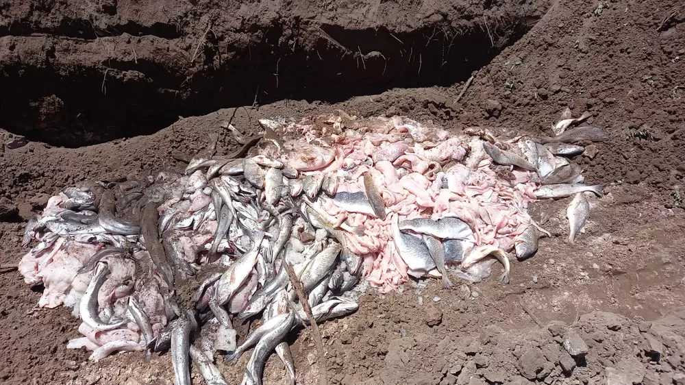 84c8002a-049f-4501-9c53-e4ba3aa4d7c8