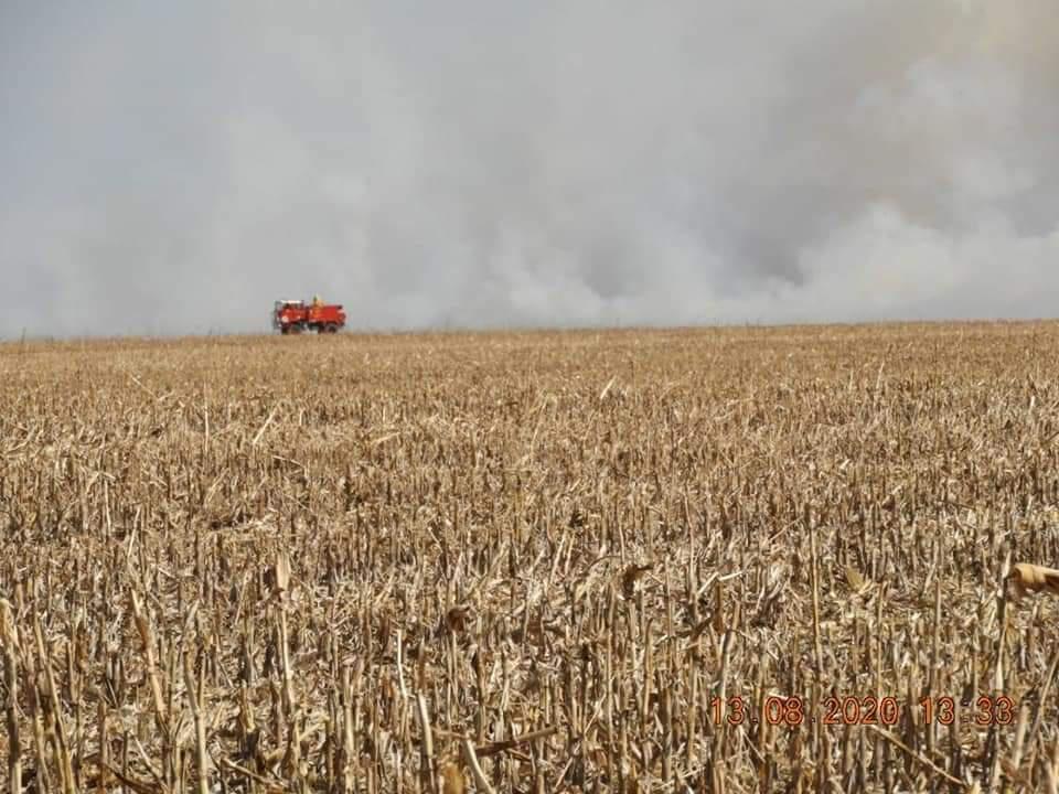 FB_IMG_1597360158316