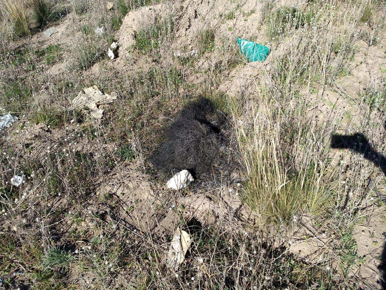 5c8c8ec9-bdce-4b48-b172-3f793af297d8