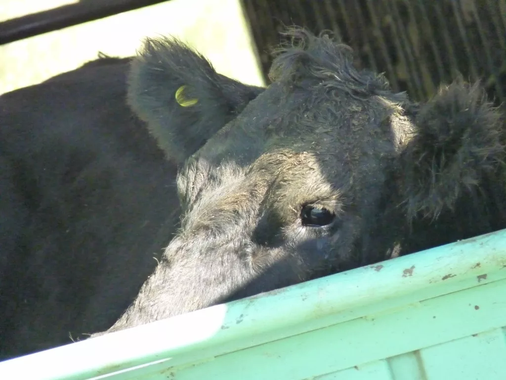 vuelco 12 (FILEminimizer)