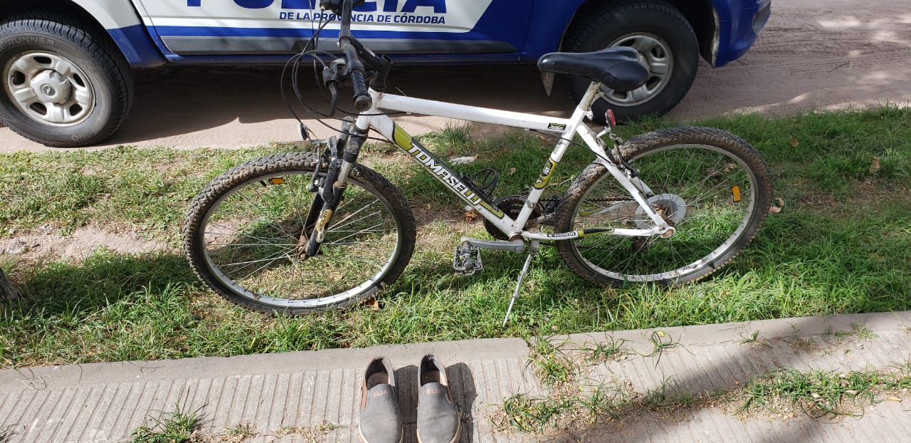 0338d1b4-2fd4-4d20-ab18-e6cd2029ebc1