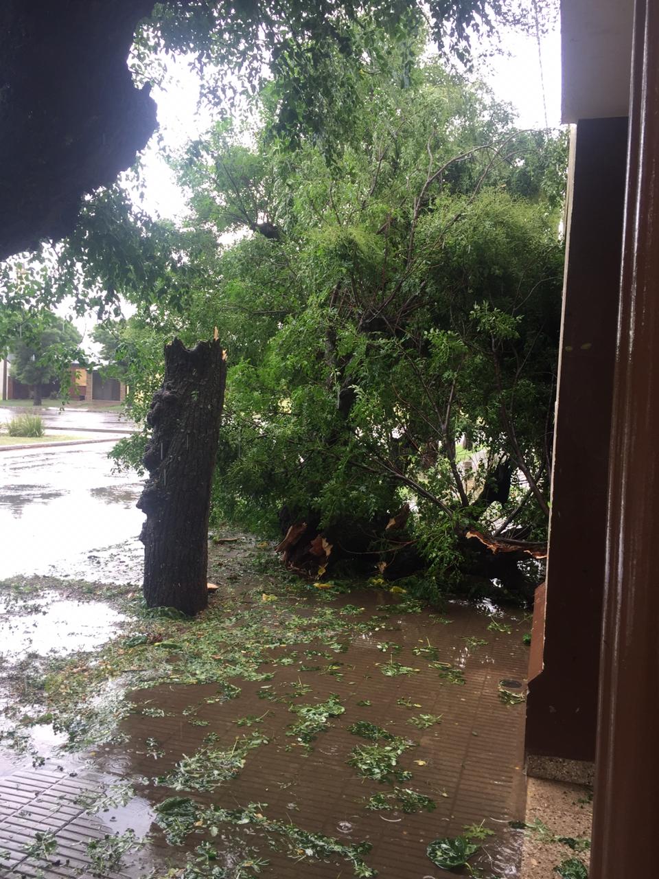 0e27a470-c02a-4376-be6f-f61b9253359a