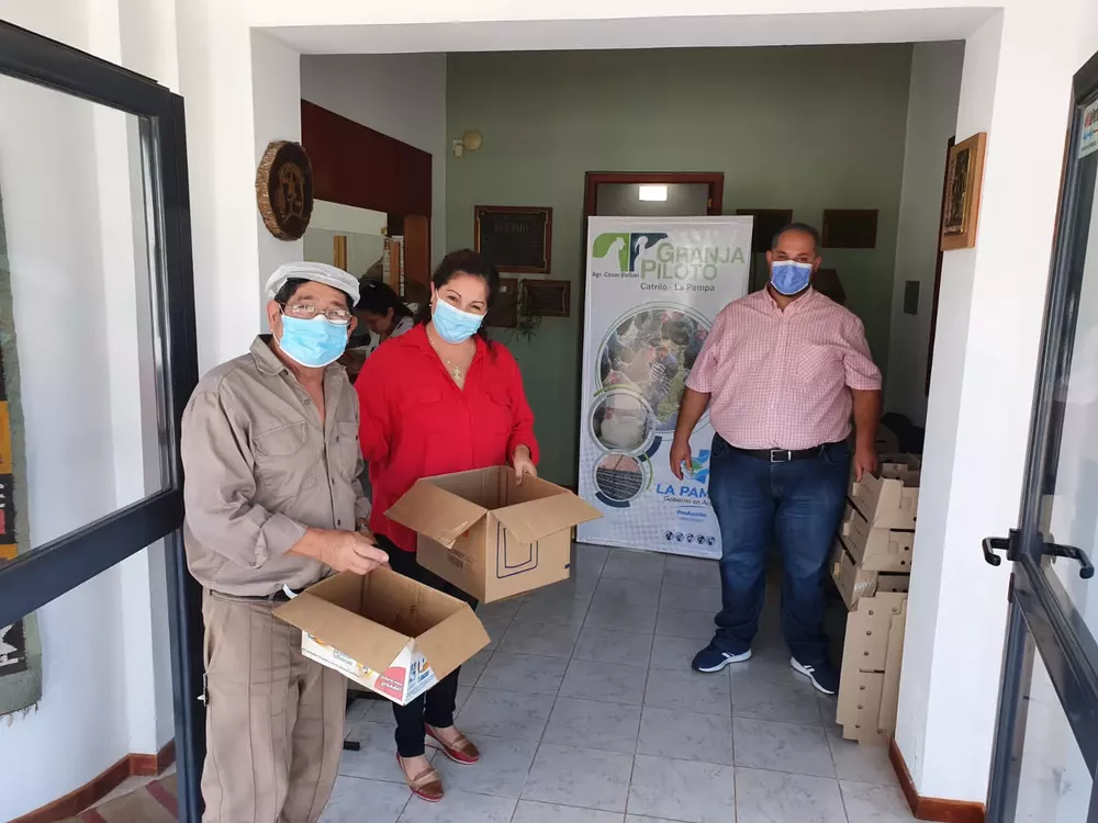 129771_whatsapp-image-2022-05-06-at-13.43.33