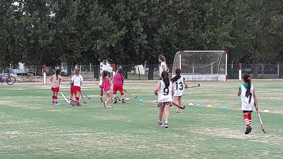 53421927_2338446332833692_4897566321618714624_n