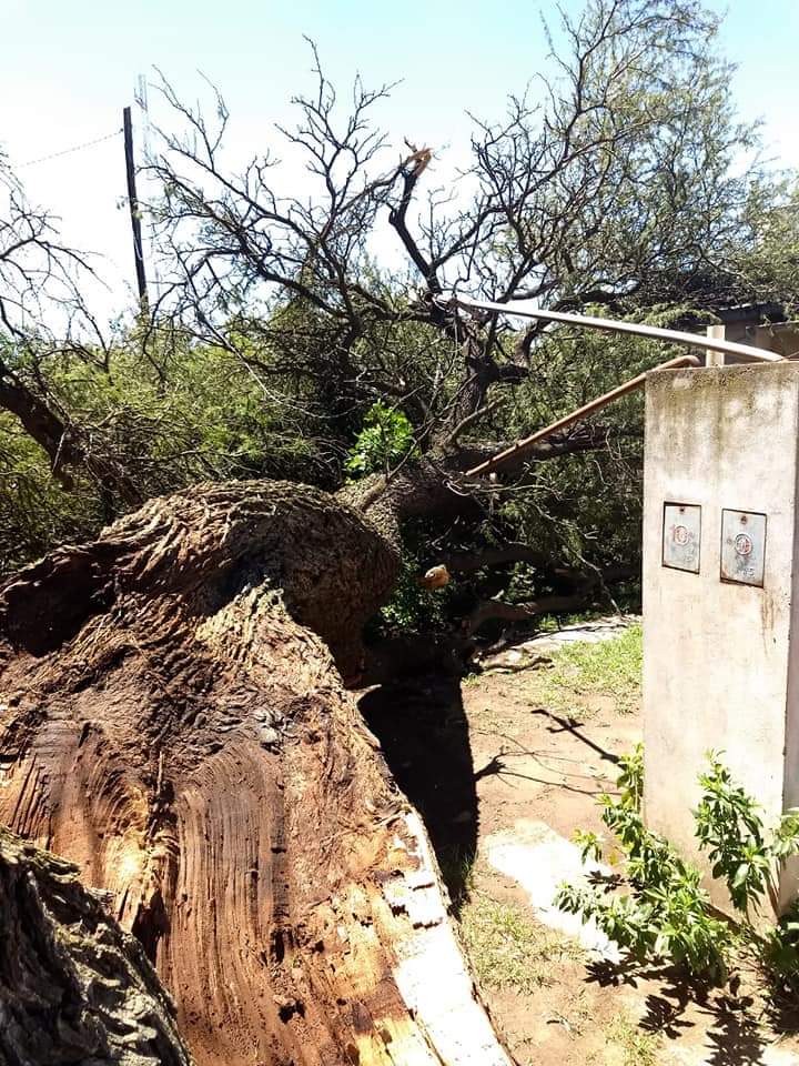 FB_IMG_1546189660240