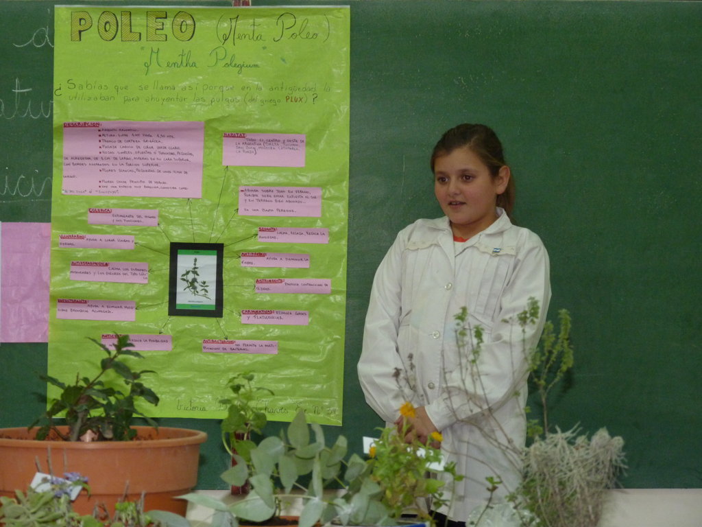 P1200924 (FILEminimizer)