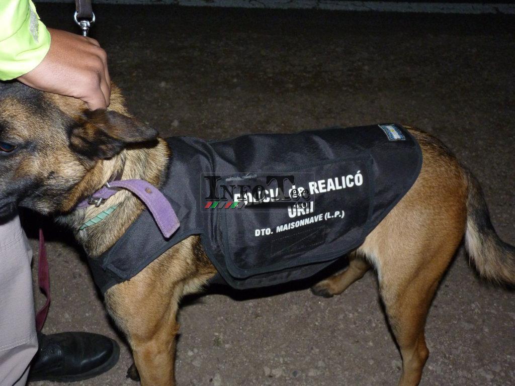 P1220168 (FILEminimizer)