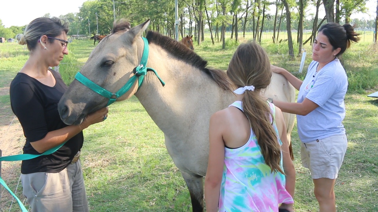 87f37b21-1905-418d-8661-3ab1abd81769