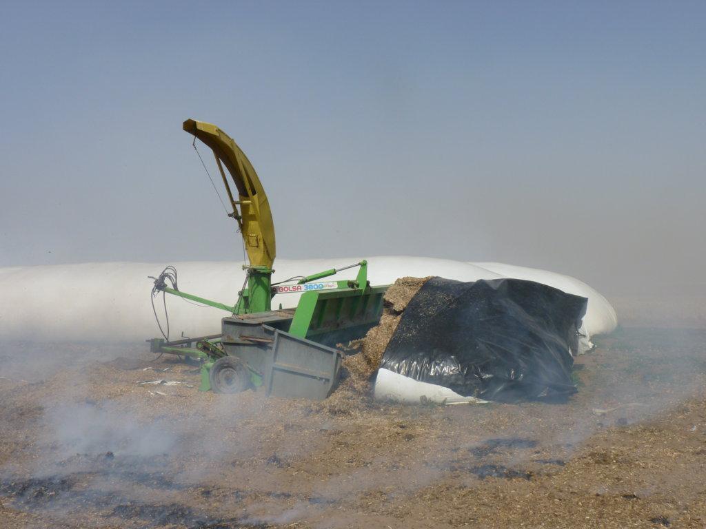 P1050971 (FILEminimizer)