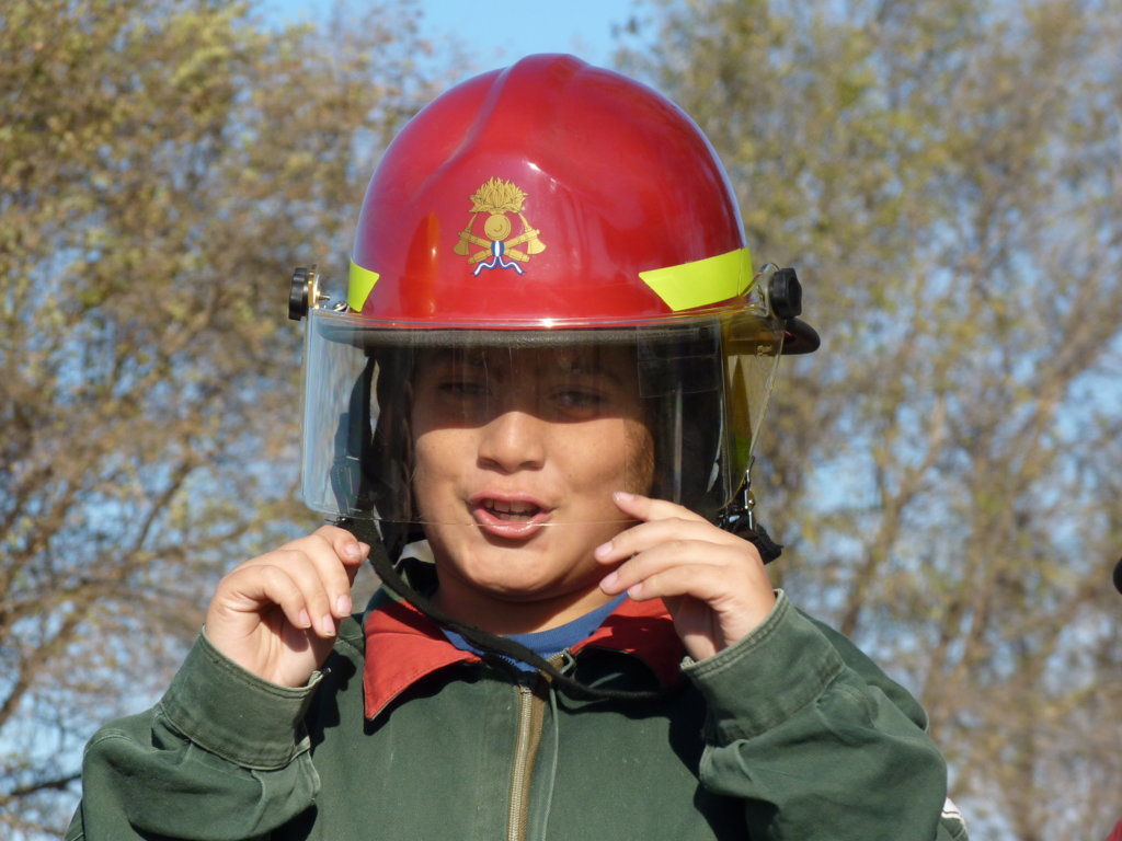 P1210822 (FILEminimizer)