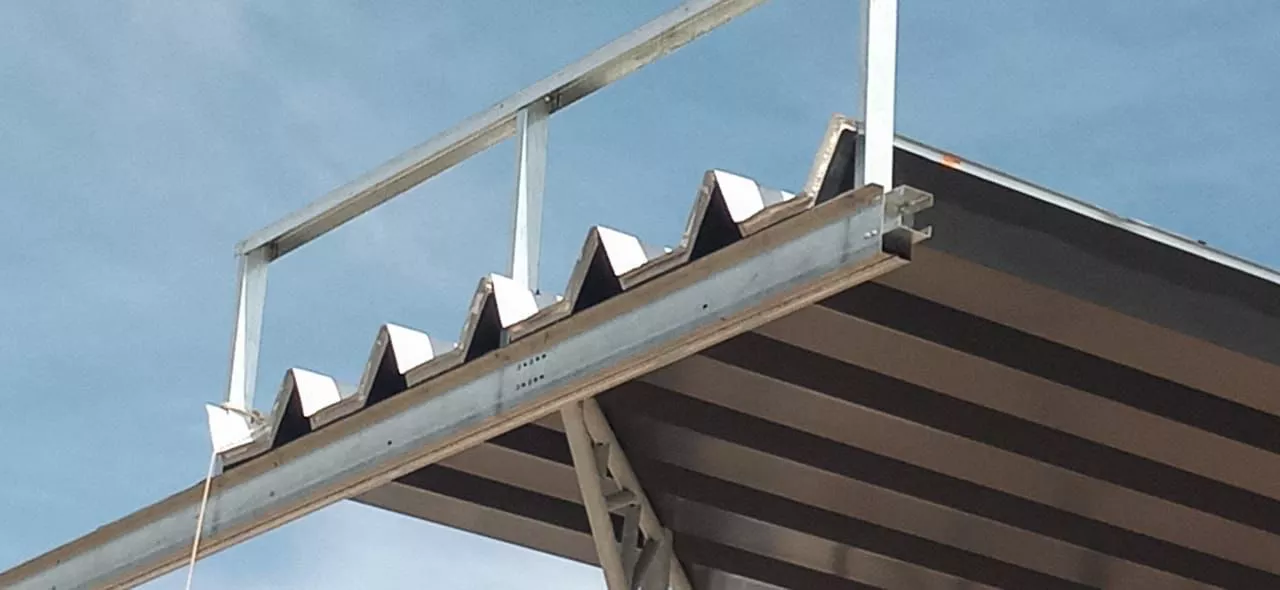 66263_whatsapp-image-2022-05-17-at-4.54.11-pm--3-