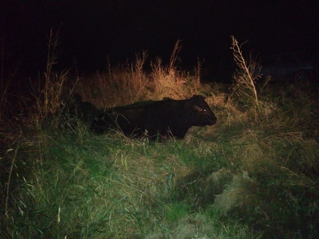 b739ecc7-6388-471e-bb0d-976c0a856070