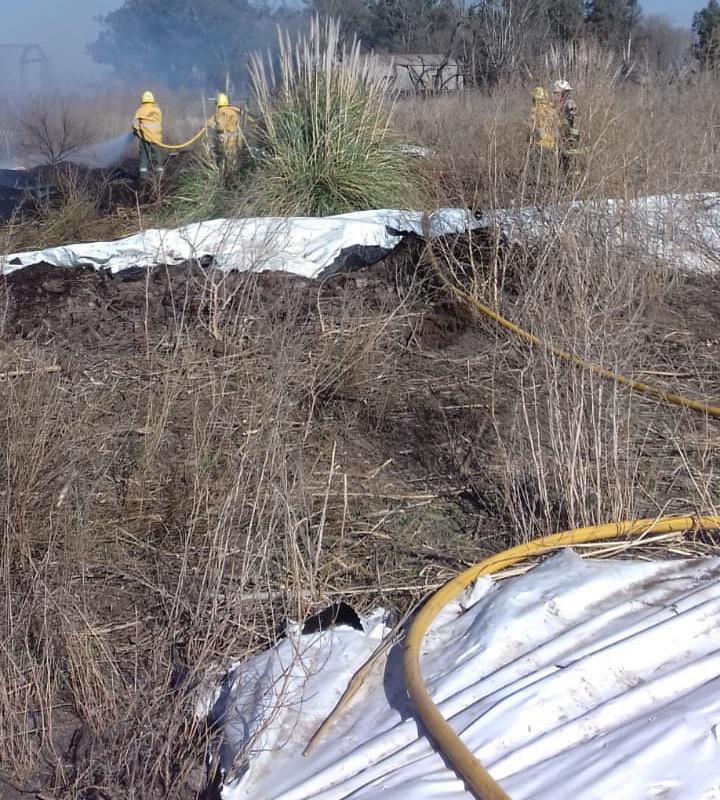 1c38f1cf-402b-45c3-8470-a793da559adc