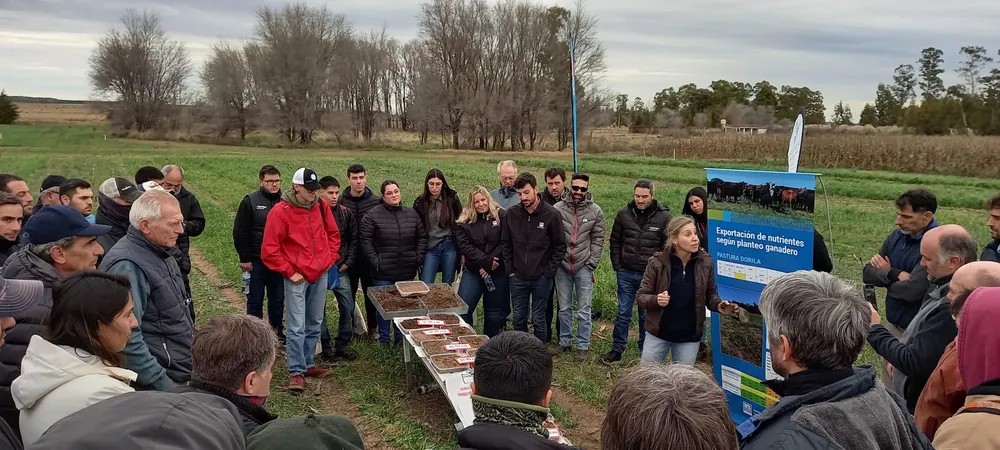 inta anguil dia del suelo