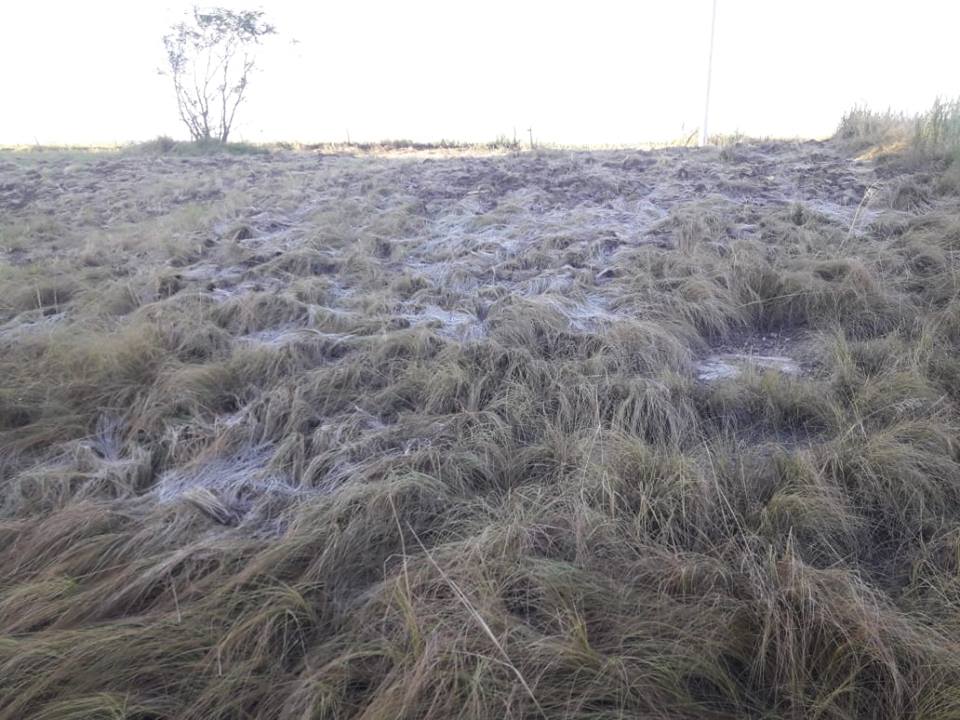 52635791_1142549125939866_4230484731487059968_n