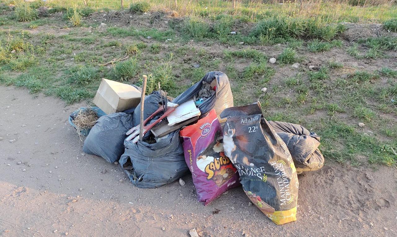 1e9e2230-b397-4ed0-b43b-a1d934aba0da