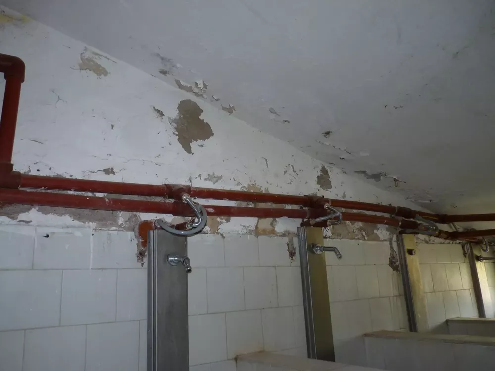 colegio agropecuario 4 (FILEminimizer)