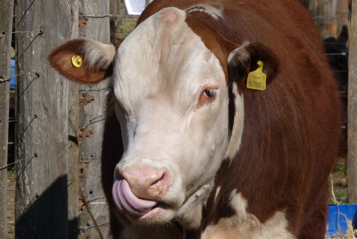 P1410682 (FILEminimizer)