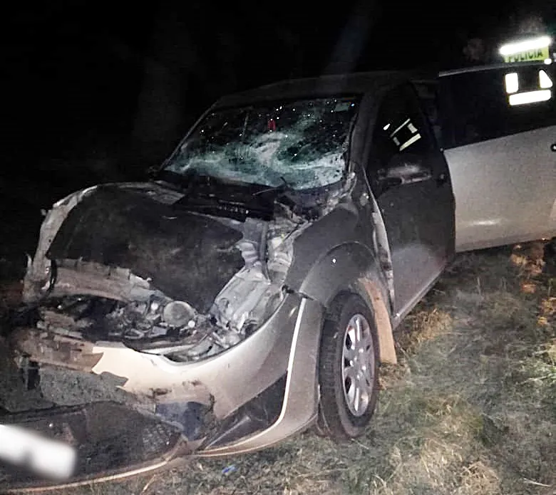 4b04dafb-0593-420a-83b0-c1b4cc9e4c29