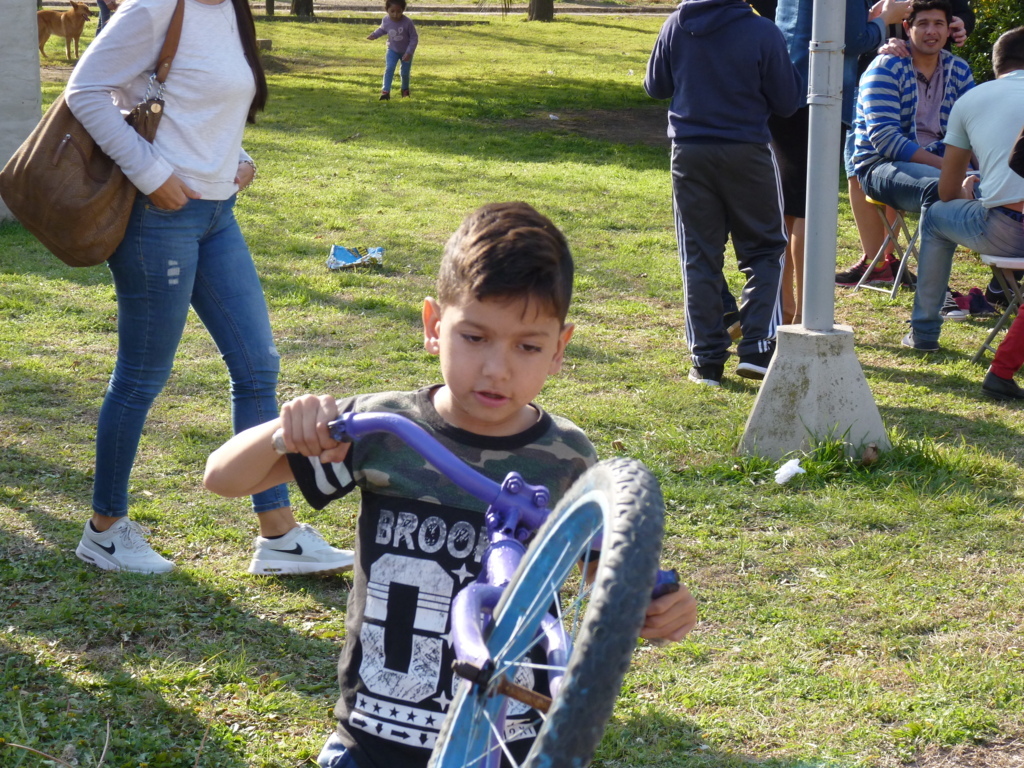 P1240730 (FILEminimizer)