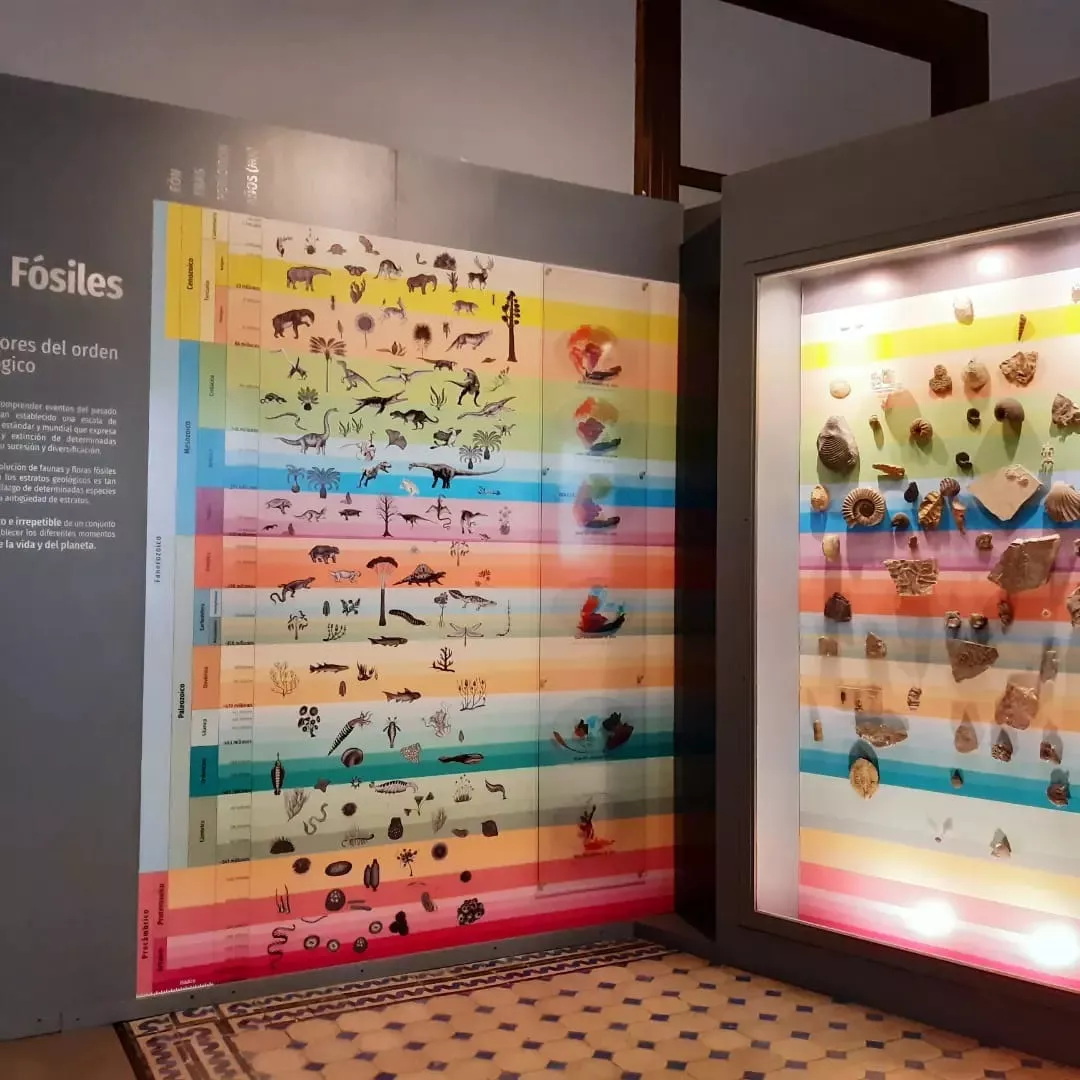 209554_reconocimiento-mphn-03