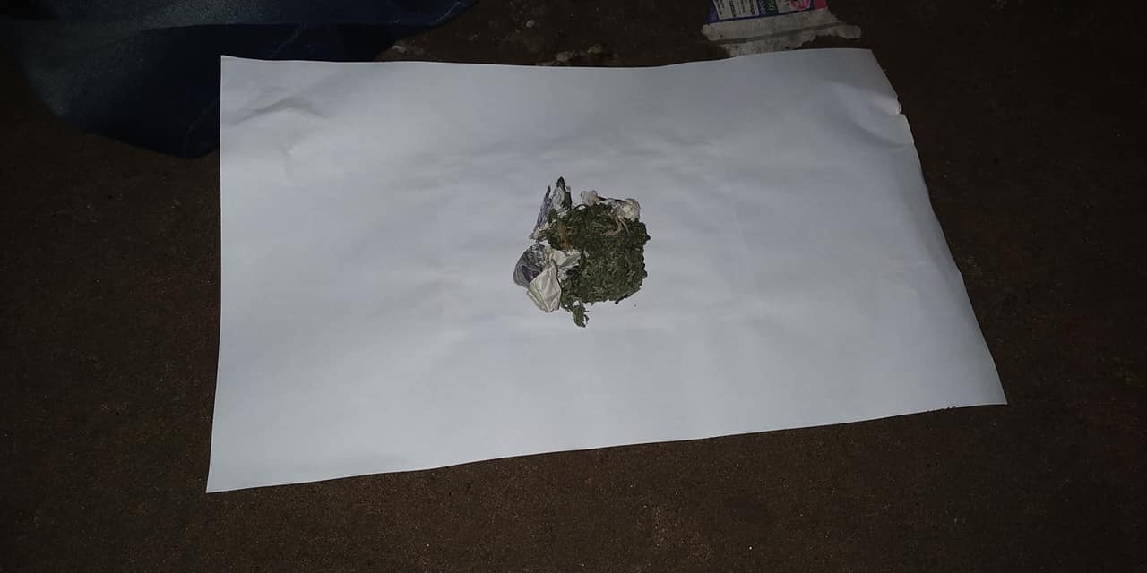 vendedores de plantas 3