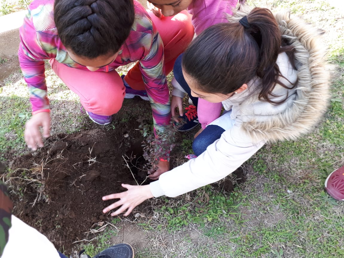 9b43032b-3400-408a-aa3c-25d101a53b30