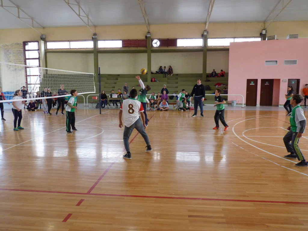 P1380003 (FILEminimizer)