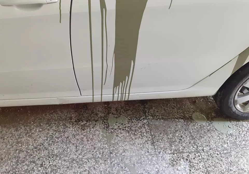 243269129_4684870754857893_6040898645817248077_n