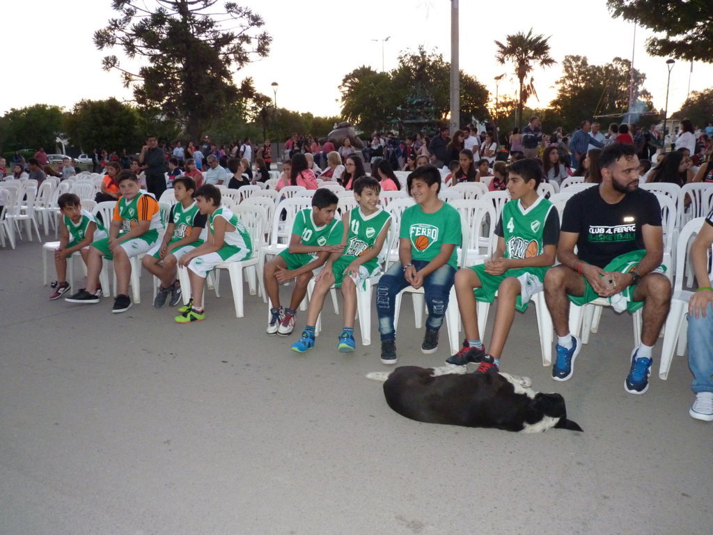 P1310378 (FILEminimizer) - copia